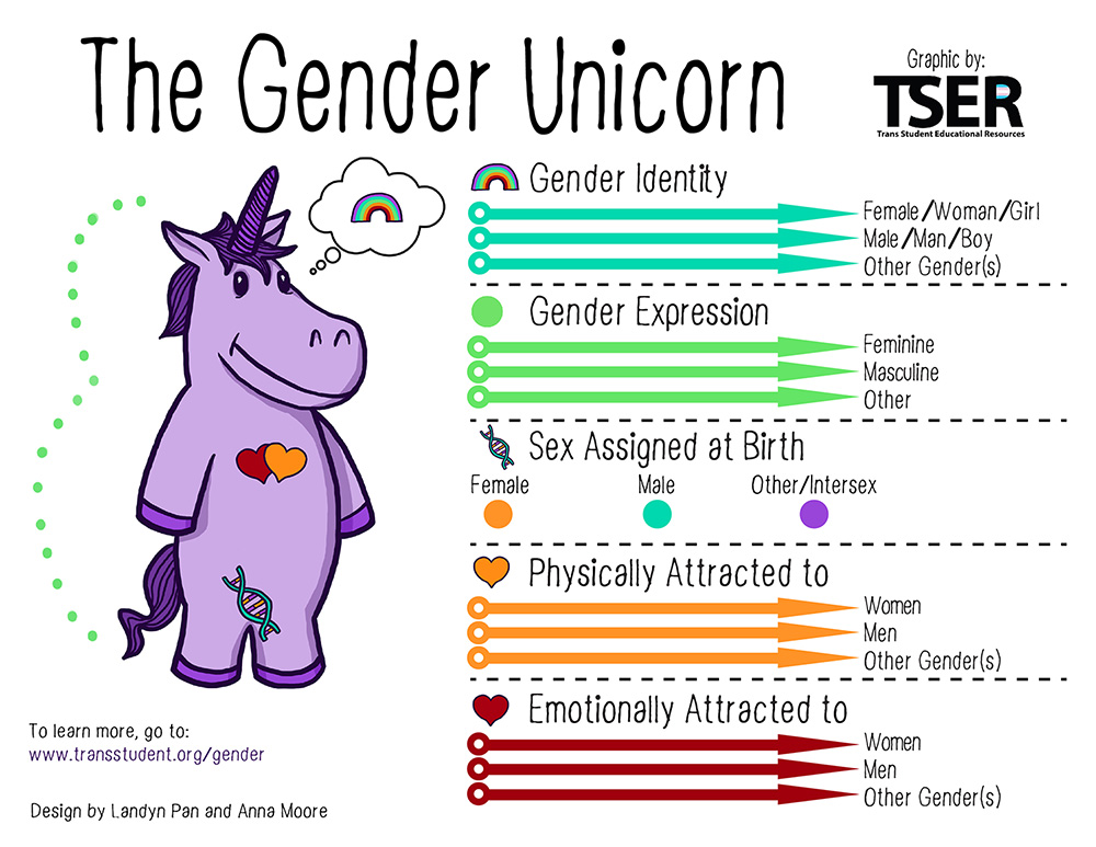 The Gender Unicorn graphic about gender identity, gender expression, sex assigned at birth, physically attracted to and emotionally attracted to.